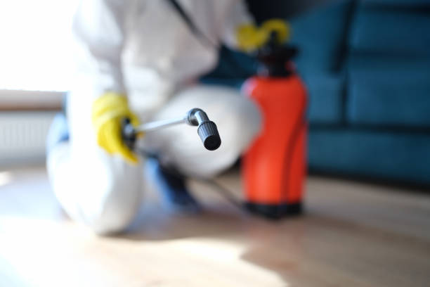 Trusted Roland, AR Mold Removal Experts